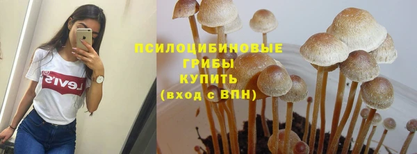 а пвп мука Костерёво