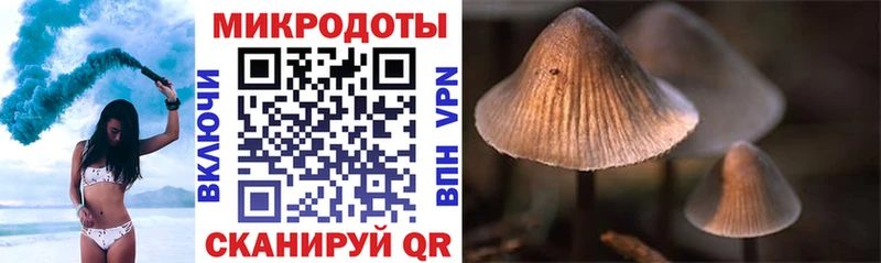 Купить  Дальнегорск  Псилоцибиновые грибы Magic Shrooms 